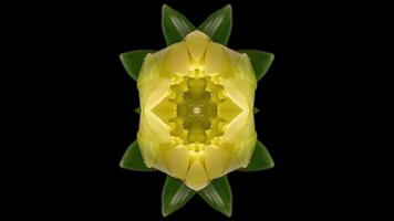 Fractal sequence patterns 3D. Beautiful bright ornament. video