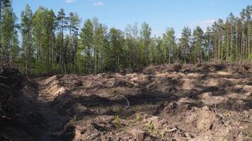 view of forest trees cleared through deforestation logging job background video