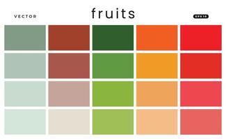 fruits color tone illustration ready to use vector