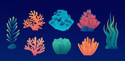 Collection of elements such as coral, coral reefs, sponges, and seaweed in the ocean vector
