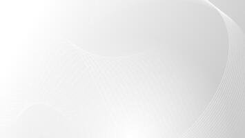 Minimalist white abstract background with line ornament vector