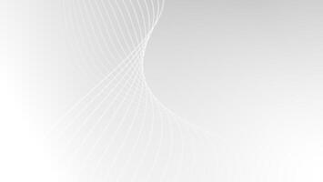 Modern white abstract background with line ornament vector