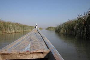 canoe in the chibayish marshes with cane and blue sky in iraq photo