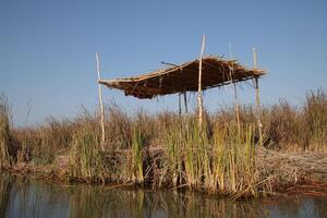 cane house in marshes of chibayish photo