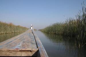canoe in the chibayish marshes with grass and water in iraq photo