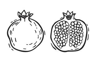 A whole pomegranate fruit and half with pulp. botanical black and white set illustration in linocut style on isolated background. Drawing for food and cosmetics packaging design, menu vector