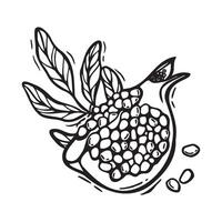 Half a pomegranate fruit with juicy pulp and leaves. black and white illustration in linocut style on isolated background. Drawing design for food and drink packaging, menu, fabric, cards vector