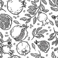 Pomegranate fruits, burst pomegranates and branches with leaves. botanical black and white pattern on a white background. For packaging design for products and cosmetics, textiles, wallpaper vector