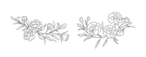Carnation flower arrangement line art on white background. Silhouette botanical hand drawn element for wedding, invitation frame design, illustration vector