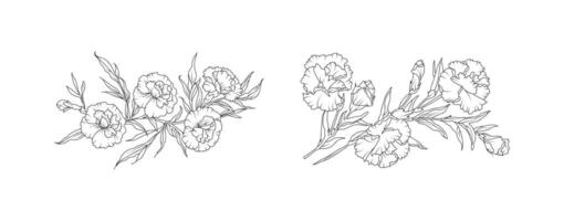 Carnation flower arrangement line art on white background. Silhouette botanical hand drawn element for wedding, invitation frame design, illustration vector