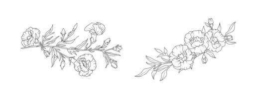 Carnation flower arrangement line art on white background. Silhouette botanical hand drawn element for wedding, invitation frame design, illustration vector