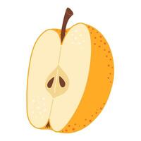 Yellow apple cut in half. One piece of fresh fruit with seeds. Apple half icon. Hand drawn Trendy flat style Isolated on transparent background illustration vector