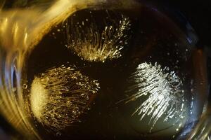 Ice cubes in glass of water photo