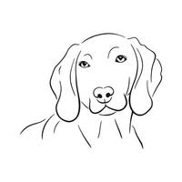 a dog is drawn in a line drawing style vector