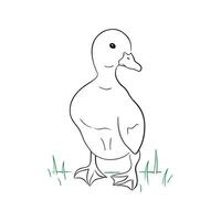 a drawing of a duck standing in the grass vector