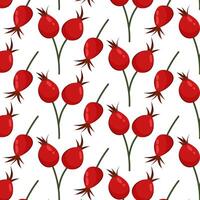 Pattern with rose hips. Autumn background. Rosehip in flat style on a white background. Pattern for textile, wrapping paper, background. vector