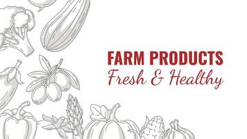 Fresh and healthy farm products, horizontal banner with minimalist frame of vegetables icons. Space for text, isolated background. Organic food, natural veggies. For poster, menu, flyer vector