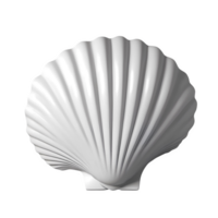 3d rendering seashell png