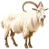 goat image standing png