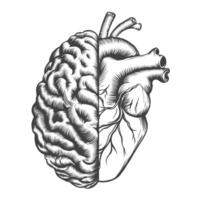Hand drawn human brain and anatomical heart. Vintage sketch illustration isolated on white background. Logic and emotion priority concept. Monochrome black and white engraving vector