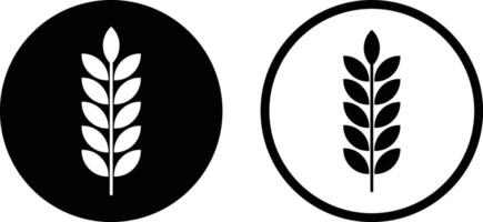 Wheat ears icon set in two styles . Spike wheat icon . illustration vector