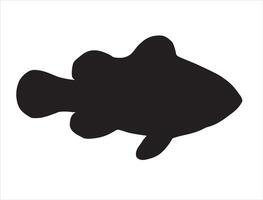 Clow fish silhouette on white background vector