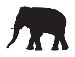 Elephant silhouette on white background vector
