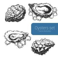 Hand drawn opened and closed seashells. Oysters on ice cubes ink sketch set. illustration Isolated on white background. Retro style vector