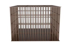 3d rendering large square cage for animals photo