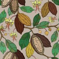 Cocoa seamless pattern with cocoa tree branches flowers and fruits vector