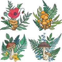 Set of different types of mushrooms, poppy, flowers, grass and berries, ferns vector