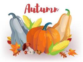 Autumn Seasonal Vegetables on white background. Pumpkins and corns set. illustration for holiday harvest festival or farm market vector