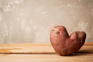 Ugly food, potatoes in the shape of a heart.Natural and simple farm products. photo