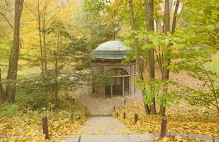 Beautiful Nature Autumn landscape. Scenery view on autumn city park with golden yellow foliage in cloudy day photo