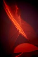 Reflection of red light in a liquid mirror, abstraction. Red fire, fire and love passion. photo