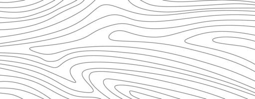 abstract wavy background. topographic contour background. contour lines background. Topographic map contour background. vector