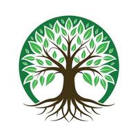 A stylized illustration of a green tree with its roots forming a circle around the trunk, symbolizing growth and interconnectedness. vector