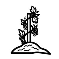 Grape plant icon illustration with black outline isolated on square white background. Simple flat cartoon art styled drawing. vector