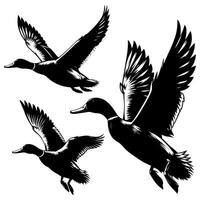 set of flying and landing wild ducks Silhouettes set vector