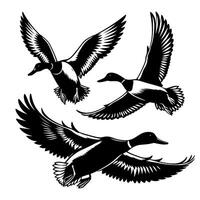 set of flying and landing wild ducks Silhouettes set vector
