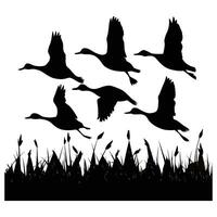 set of flying and landing wild ducks Silhouettes set vector
