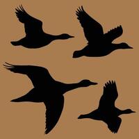 set of flying and landing wild ducks Silhouettes set vector
