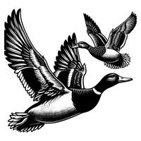 set of flying and landing wild ducks Silhouettes set vector