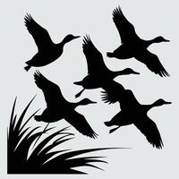 set of flying and landing wild ducks Silhouettes set vector