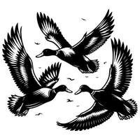 set of flying and landing wild ducks Silhouettes set vector