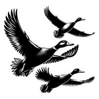 set of flying and landing wild ducks Silhouettes set vector