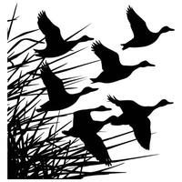 set of flying and landing wild ducks Silhouettes set vector