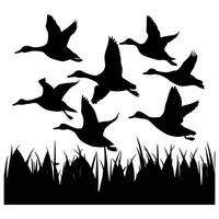 set of flying and landing wild ducks Silhouettes set vector