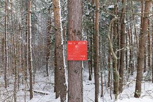 Red mine sign marks the edge of a known minefield in the forest. Danger mines. Aftermath of war. Scars of armed conflict. photo