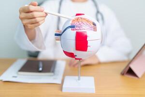 Doctor with human Eye anatomy model with magnifying glass. Eye disease, Refractive Errors, Age Related Macular Degeneration, Cataract, Diabetic Retinopathy, Glaucoma, Amblyopia, Strabismus and Health photo